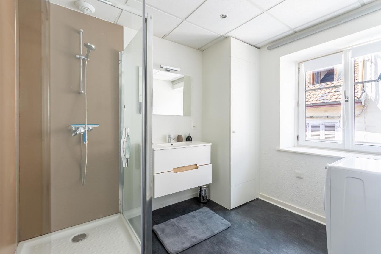 Montbéliard Le 22-Gregimmo-Appart'Hotel מראה חיצוני תמונה